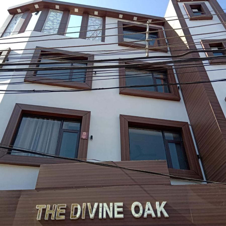 The Divine Oak Hotel Katra  Luaran gambar