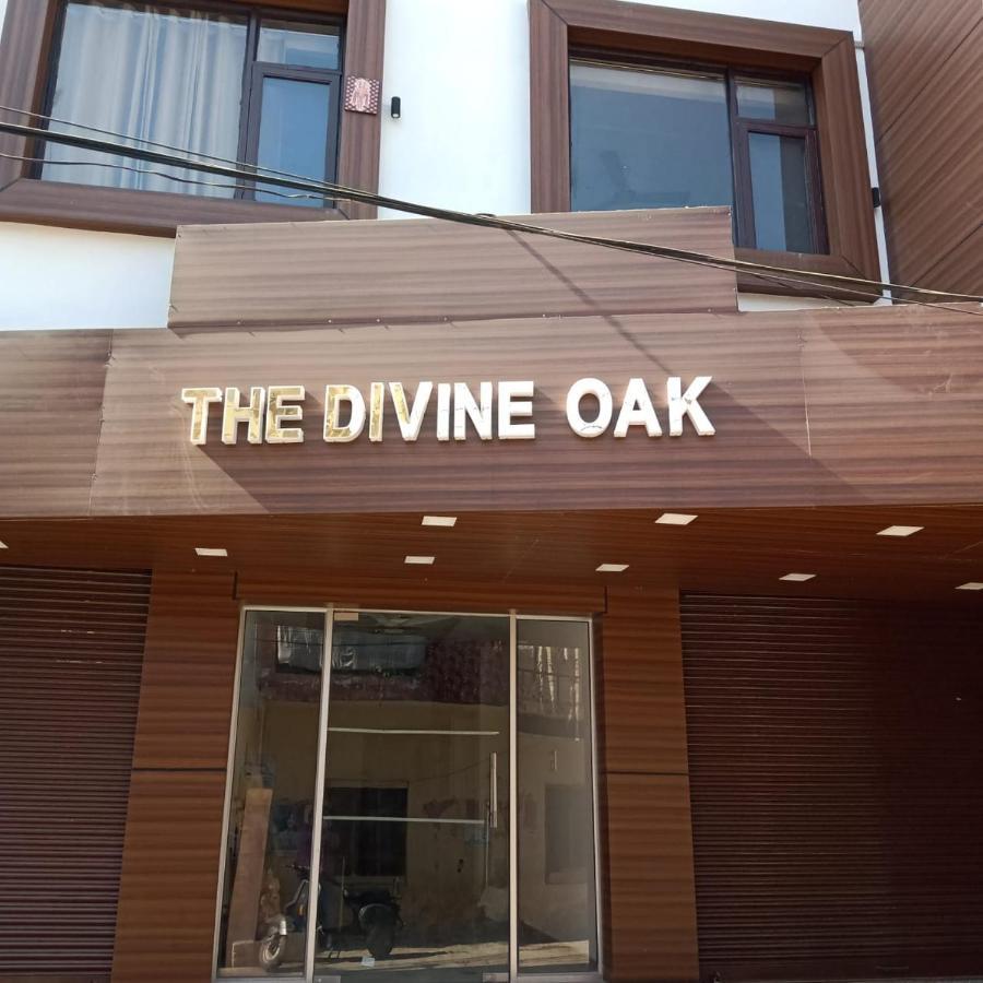 The Divine Oak Hotel Katra  Luaran gambar
