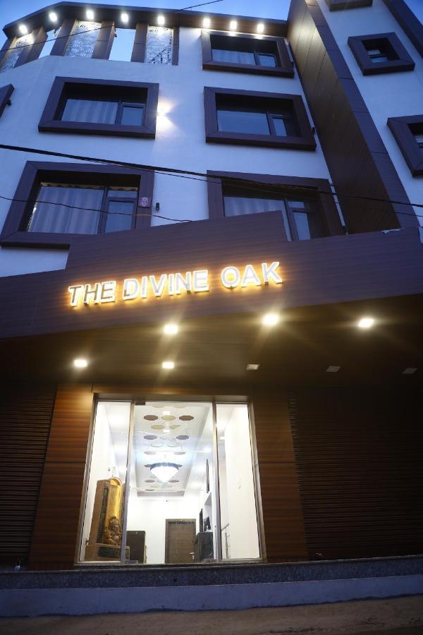 The Divine Oak Hotel Katra  Luaran gambar