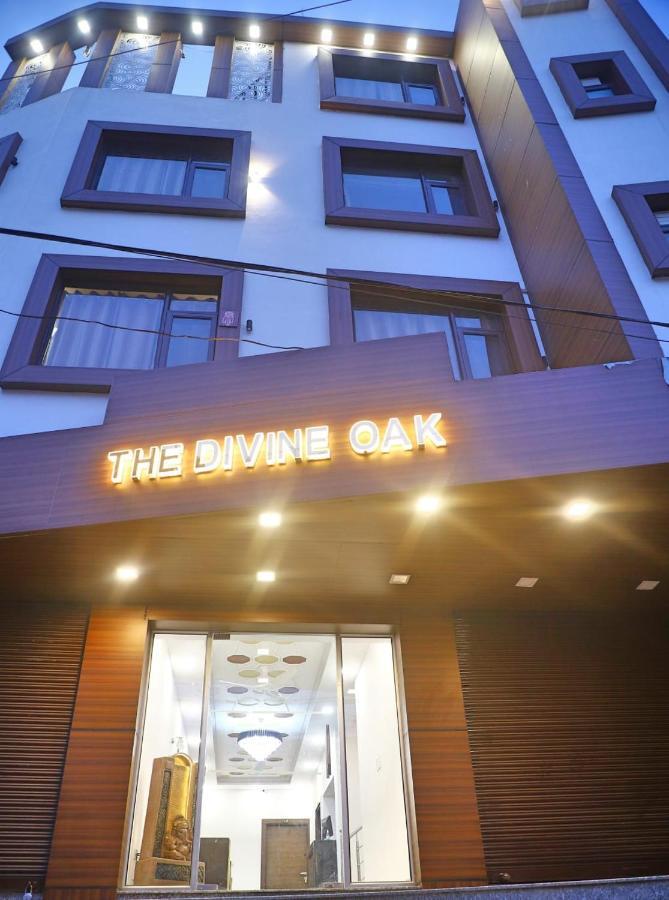 The Divine Oak Hotel Katra  Luaran gambar